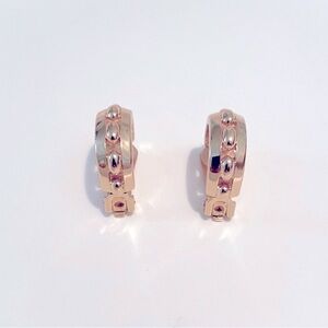 Christian Dior Earrings + Dust Bag